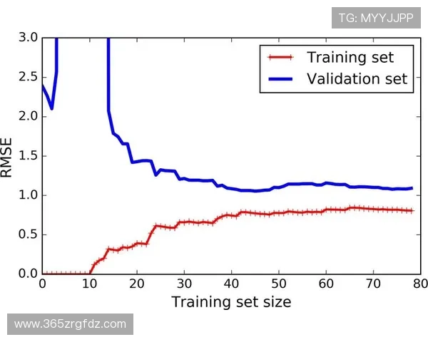 兴旺下注：如何制定科学的投注计划确保资金持续增长的实用指南