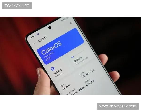 如何在不同型号的inbetapp手机中实现最佳性能优化与日常维护建议