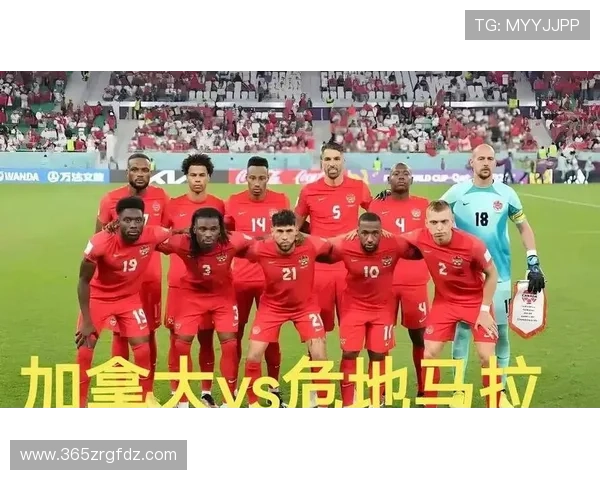 加拿大与波黑激烈对决中的精彩进球瞬间全场集锦解析